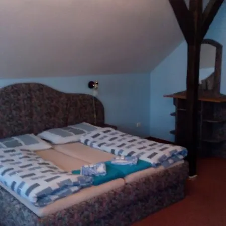 Maison d'hôtes U Modrého Zvonku 3*